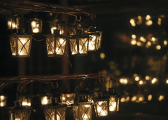 Lantern Tree