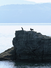 そこに愛はあるんか？