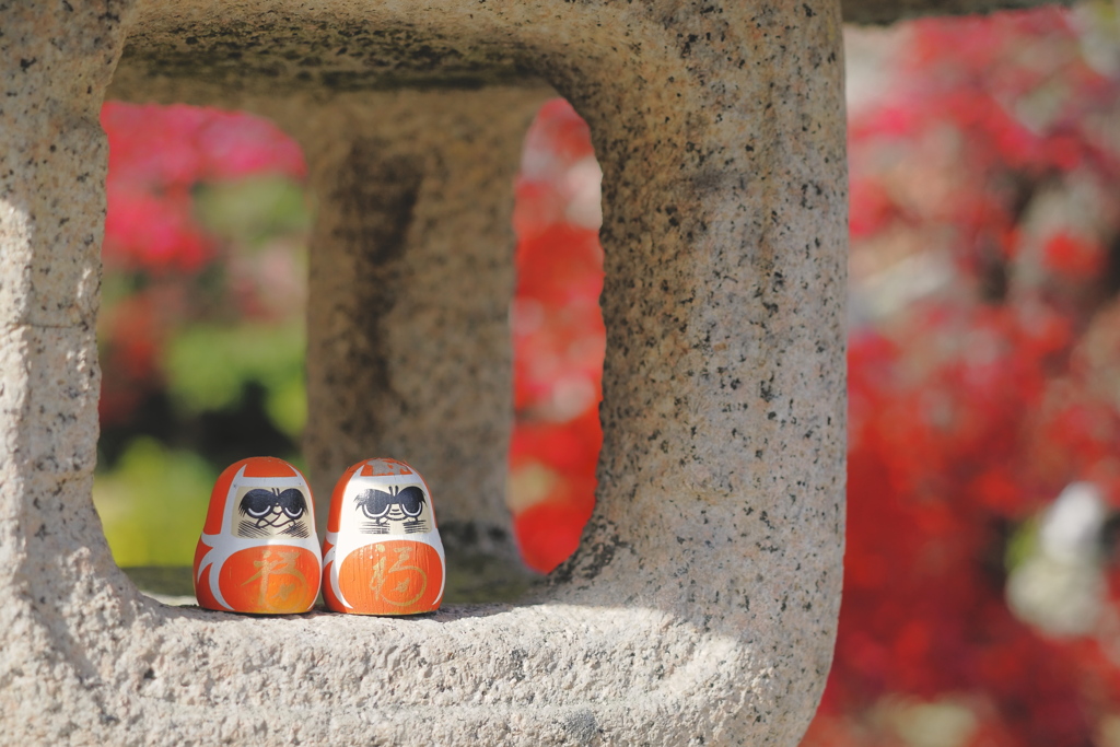 おむかえだるまさん