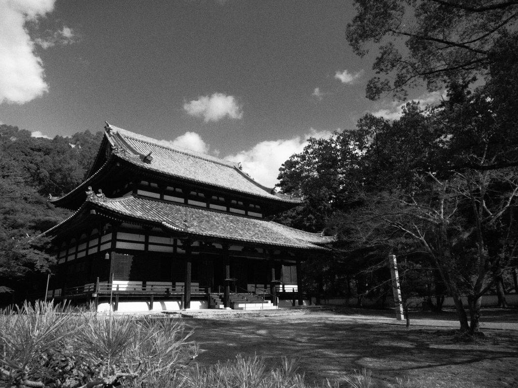 根來寺・大伝法堂