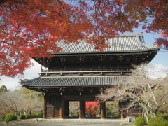 根來寺・大門
