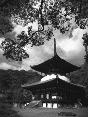 【国宝】根來寺・多宝塔