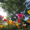 vibrant！