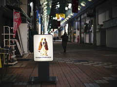 サインボード・ドッグ