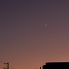 真夜中と真昼の夢