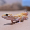 名 そら