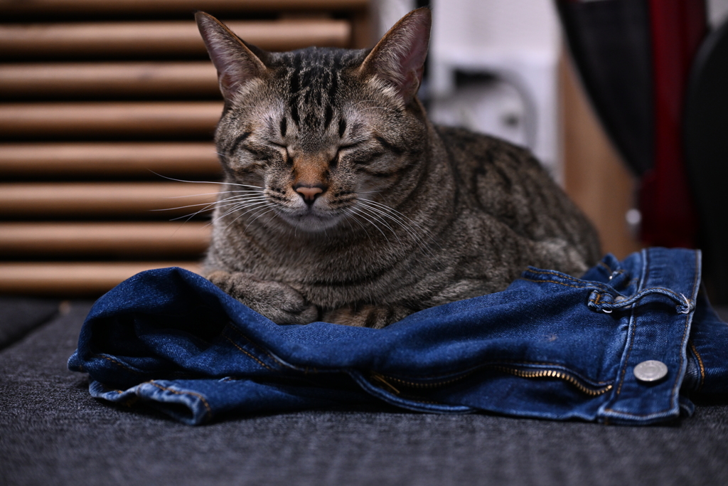 お気に入りの場所