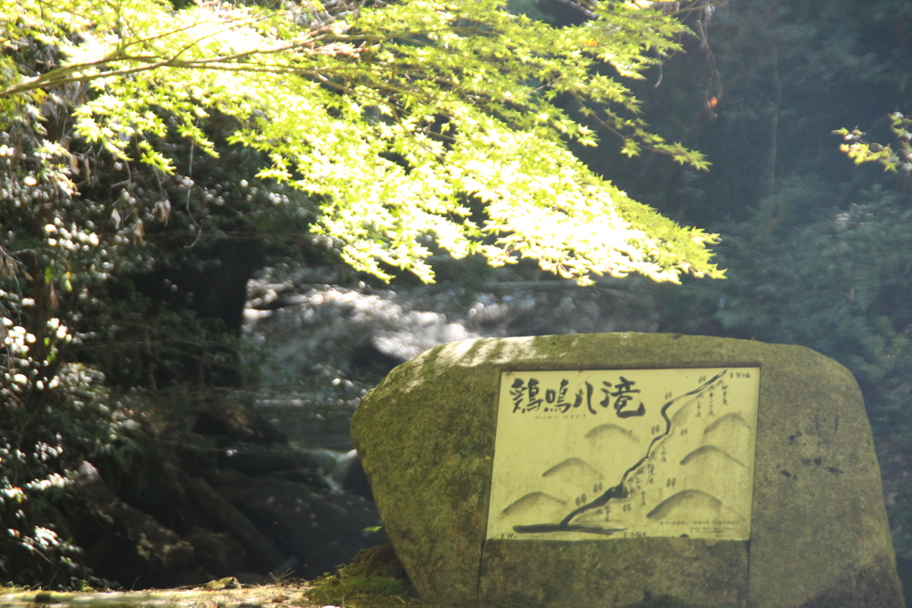 鶏鳴の滝
