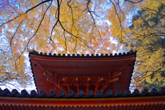 十二月の候　山寺の彩