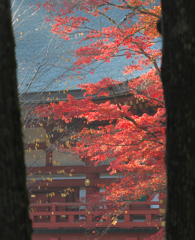 採光・高野山中門