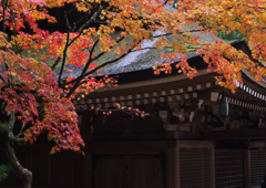 高野山往来　Ⅰ
