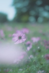 後ろ姿もねっ＾＾