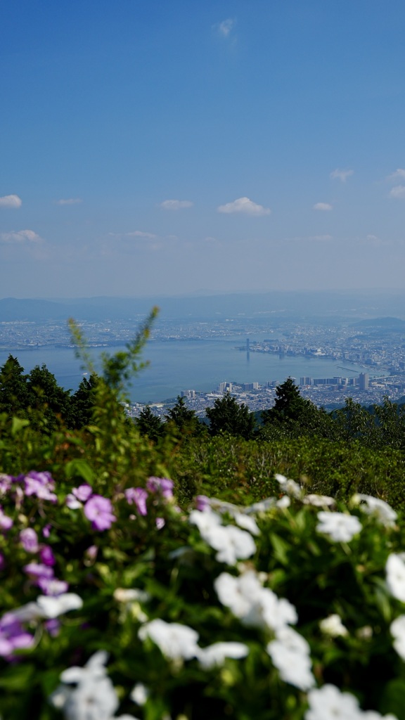 頂上からの景色
