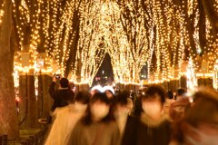 SENDAI光のページェント