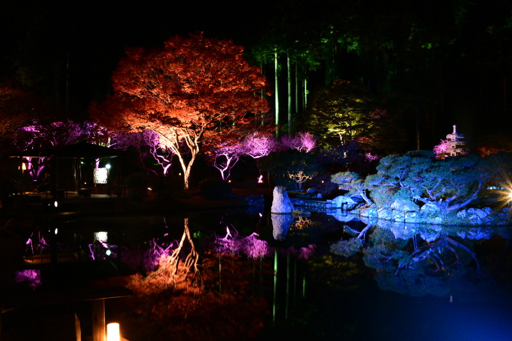 47407572-9800-42c4-aefb-31c0a3f3a72d-1_a