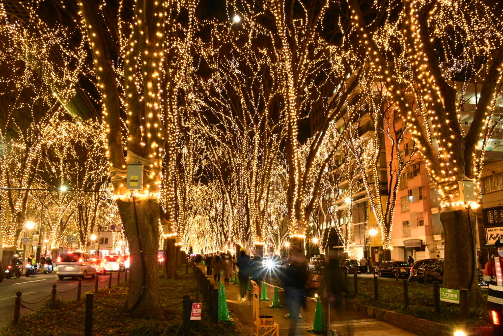 SENDA光のページェント