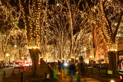 SENDA光のページェント