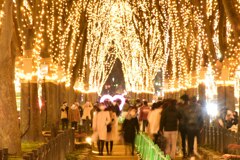 SENDAI光のページェント