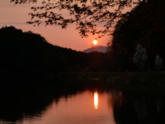 夕日