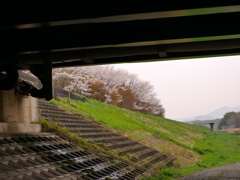 雨上がり