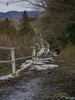 いい景色