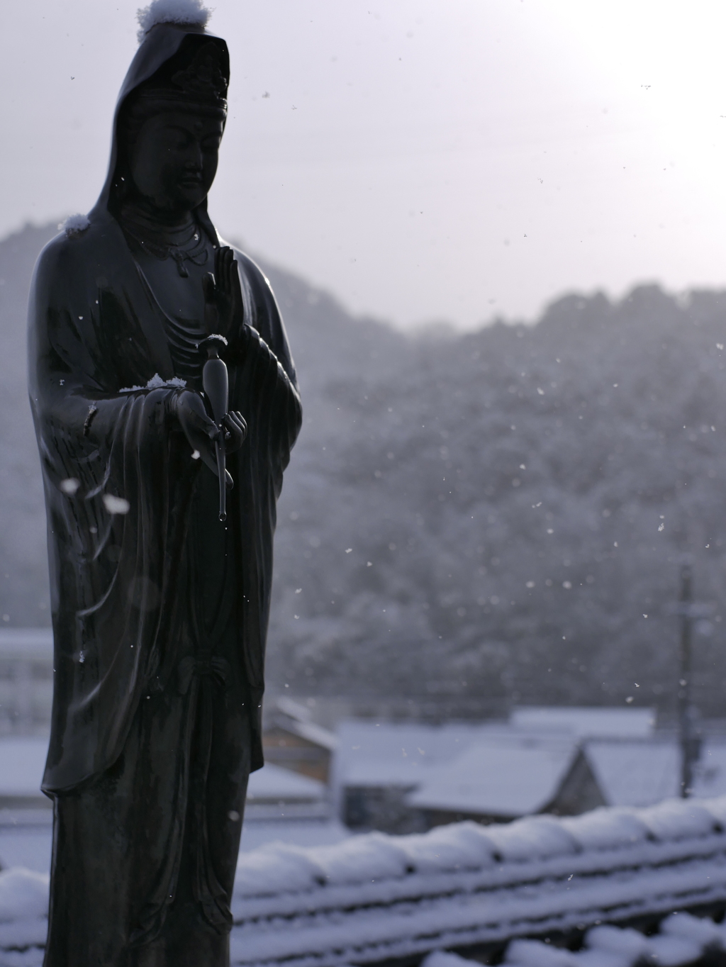 朝