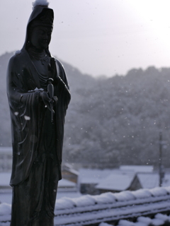 朝