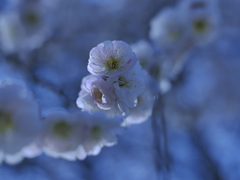 春の陽気