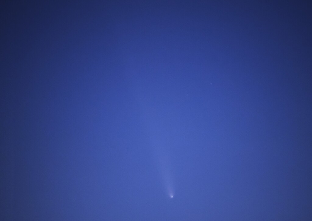 紫金山アトラス彗星