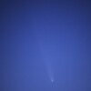 紫金山アトラス彗星