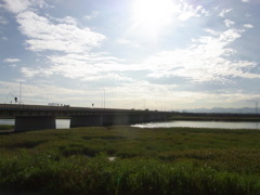 R0011833