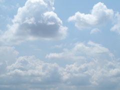 P8090099