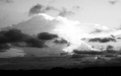 P8230169-1