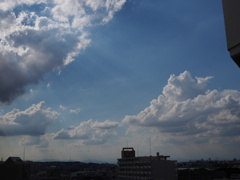P9090212