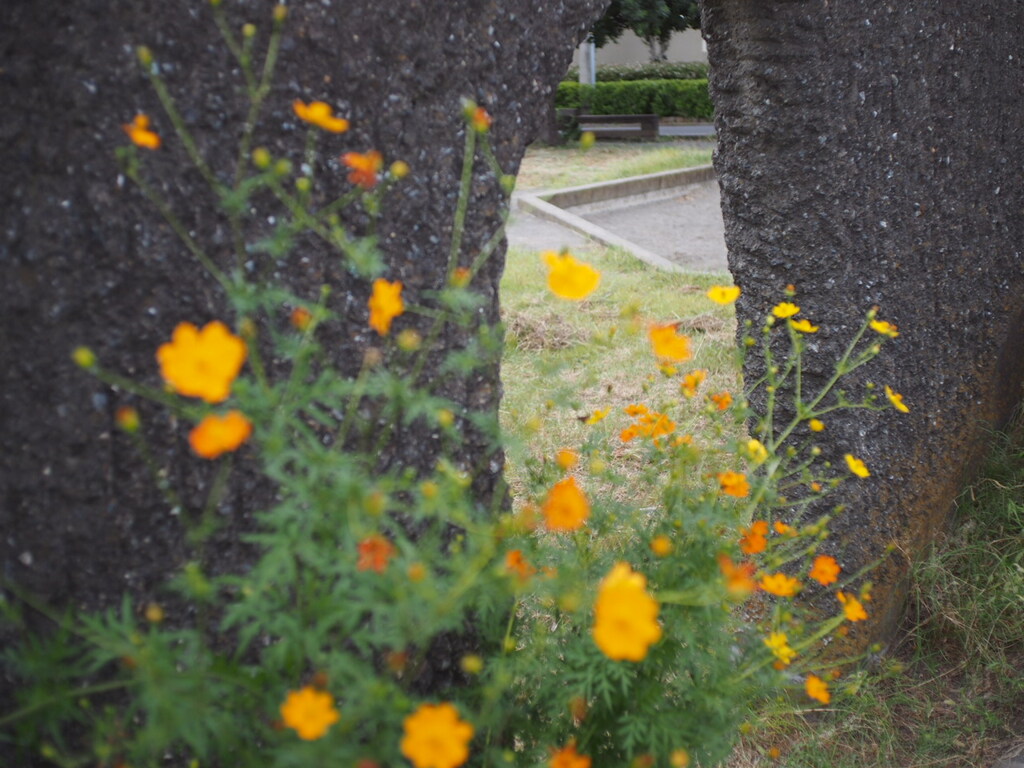 P9250235