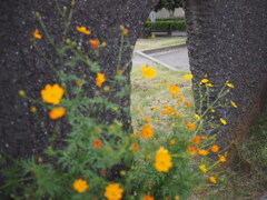 P9250235