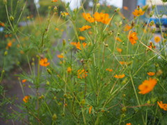 P9250232