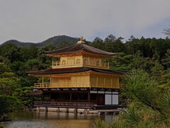 金閣寺