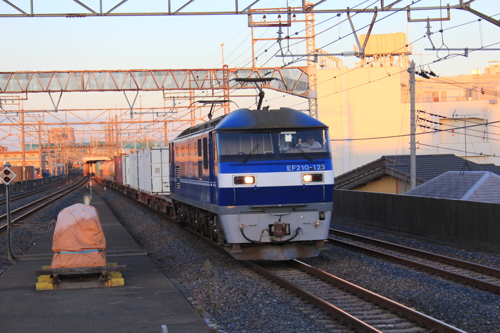 桃太郎牽引20両貨物列車