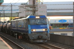 タキを引っ張るブルーサンダー