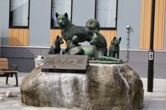 秋田犬のふるさと　大館