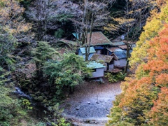 秋の森の隠れ家