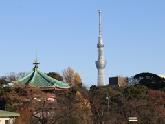 寛永寺と東京スカイツリー