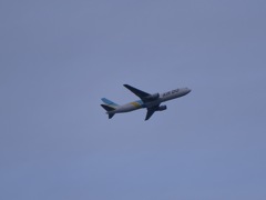 飛行機
