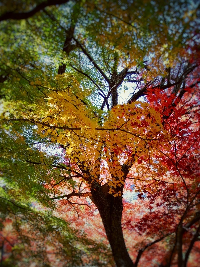 ハートに見えなくもない