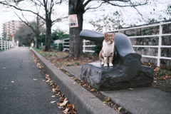 のらちゃん