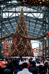 ディズニーランド