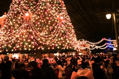 ディズニークリスマス