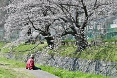 のどかな休日