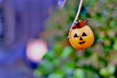 Happy Halloween！